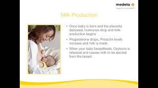 4⧸10 Breastfeeding Class 4  How Breastfeeding Works [upl. by Clarkin]