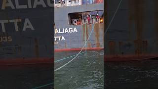 VERY LARGE CARGO SHIP MOORING OPERATIONS [upl. by Pulchi]