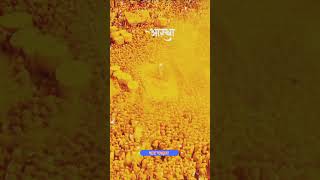 Jay malhar  sonychi jejuri  bhandara  Khandobachi Yatra [upl. by Ntsyrk]