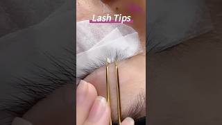 Lash tips for beginners 🤩 lashes lashextensions lashing lashextentions lashartist [upl. by Panayiotis]