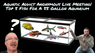 Aquatic Addict Anonymous Live Meeting [upl. by Helsie]