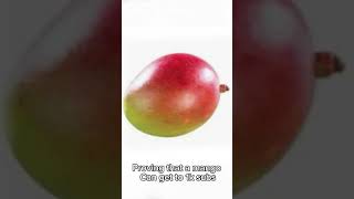 Proving That A Mango Can Get To 1k Subs mango subscribe [upl. by Gomez8]