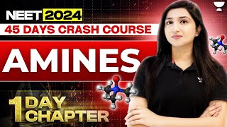 1 Day 1 Chapter Amines  45 Days Crash Course  NEET 2024  Akansha Karnwal [upl. by Katrinka]