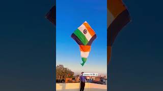 Kite flying festival rooftop Bigkite kite viralvideo patang shorts kitefestival trending [upl. by Elpmid]