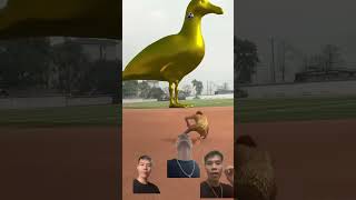 Wow amazing magic perfect 🤩 p6 birds funny vfx viralvideo animation satisfying [upl. by Bergmann]