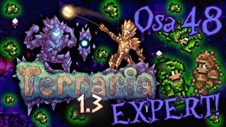 Terraria 13  Expert Osa 48  Chlorophytevarusteet [upl. by Dicky334]