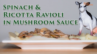 Spinach and Ricotta Ravioli in Mushroom Sauce Recipe [upl. by Cykana]