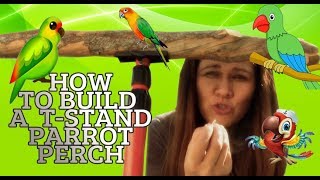 DIY How to make a portable tripod parrot Tstand  Parrot perch [upl. by Boswell787]