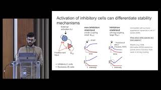 Alessandro Sanzeni  Inhibition stabilization is widespread in mouse cortical networks Cosyne 2019 [upl. by Tudela479]