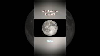 🪐🌎PACK SISTEMA SOLAR Y FASES DE LA LUNA🪐🌎 Material Educativo Digital [upl. by Odnomar]