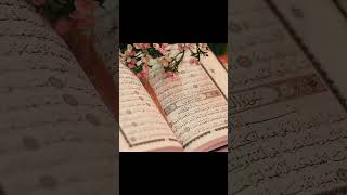 04 SURAH AN NISA AYAY NO 35 JUST URDU TRANSLATION trending quranictranslation [upl. by Balliett]