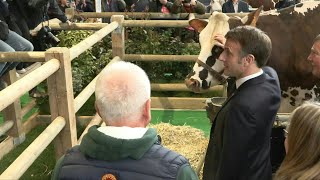 Au Salon de lagriculture Macron rend visite à la vache Oreillette  AFP Images [upl. by Hedelman]