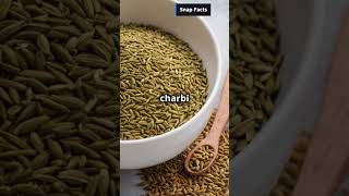 Amazing Health Benefits of Cumin Seeds  Boost Digestion amp Lose Weight with Jeera [upl. by Noryd718]