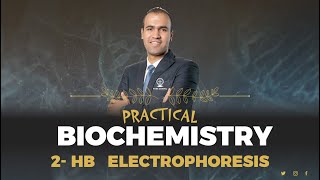 Hb Electrophoresis I Practical Biochemistry I Haeme Module 2024 [upl. by Wilde]