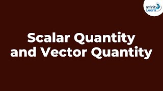 Scalar Quantity and Vector Quantity  Physics  Infinity Learn [upl. by Naret]