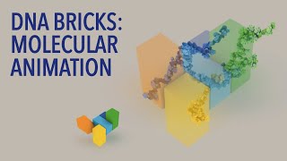 DNA Bricks Molecular Animation [upl. by Melc]