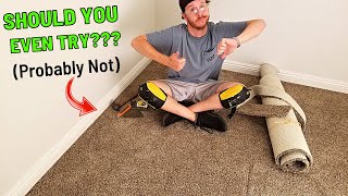 How To Install Carpet  Should You Even Try to DIY 🤔 [upl. by Minnaminnie]