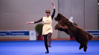 Танцы с собаками quotЕвразия 2014quot Dog Dancing Canine Freestyle [upl. by Adolph]