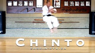 Chinto Kata  MatsubayashiRyu [upl. by Decker572]