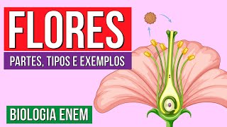 FLORES DAS ANGIOSPERMAS Partes tipos e exemplos  Resumo de Biologia Enem Profe Claudia Aguiar [upl. by Ebba]