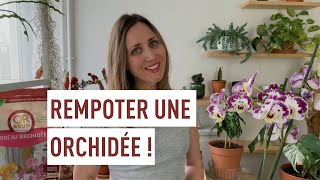 Rempoter une orchidée facilement [upl. by Toddy912]