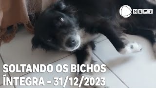 Soltando os Bichos  31122023 [upl. by Enomsed]