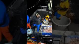 Crab fishing on the Deadliest Seas Channel [upl. by Yelad]