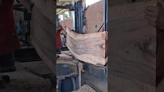 Detik detik kayu pecah saat di gergaji mengikuti mesin berjalan di bandsaw sawmill [upl. by Bahner]