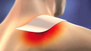 Salonpas  TV Commercial [upl. by Garbe151]