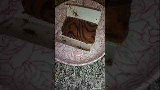 BRITANNIA CAKE ROLLYO cake cakeroll snacks shorts ytshorts [upl. by Yeslah]