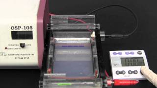 Gel Electrophoresis [upl. by Worden278]