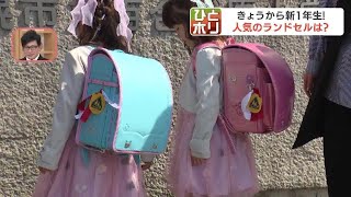 ７万円前後が主流 人気の色トップ３＝男の子は黒・紺・青、女の子は紫・桃色・水色 来年春の新入生向けのランドセル選びも本格化 [upl. by Rondi]