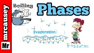 Phases of Matter and the Phase Changes [upl. by Elleina]