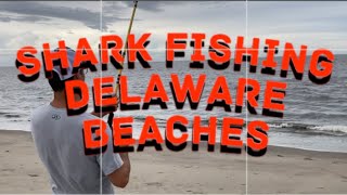 Surf Fishing Broadkill Beach Delaware for Sharks Small Wonder Series  Season Two Episode One [upl. by Aihsem]