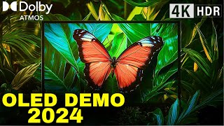 2024 OLED DEMO Dolby Atmos Breakthrough in NextGen TV Technology [upl. by Woolcott]