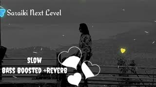 Main pholan di sejh new saraiki song 2022 slow  Reverb  Bass boosted saraikinextlevel [upl. by Anica]