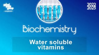 water soluble vitamins biochemistry [upl. by Ontina944]