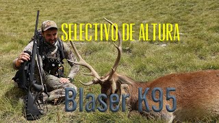 Blaser K95 cazando ciervos de montaña temporada 2324 [upl. by Nykal]