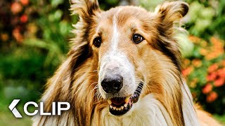 Lassie rettet die entführten Kinder  LASSIE Ein neues Abenteuer Clip amp Trailer German 2023 [upl. by Oisorbma]