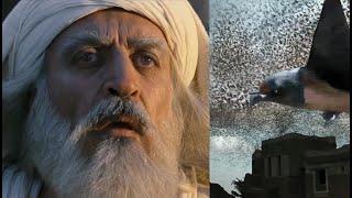 Makkah Live Ababil Bird in Makkah  Ababeel Birds  Kaaba History Ababil Birds  History Movie [upl. by Othella]