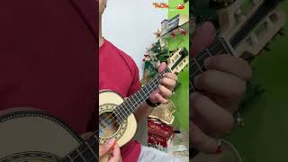 NATAL DE CAVAQUINHO  Jingle Bells  FELIZ NATAL [upl. by Ahsiaa]