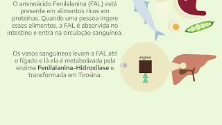 4 1 1 Metabolismo da Fenilalanina [upl. by Ensign621]