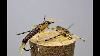 Golden Stonefly Nymph Fly Tying Video [upl. by Aracahs]