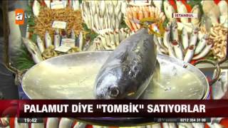 Palamut diye quottombikquot satıyorlar  atv Ana Haber [upl. by Quincy206]