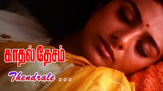 Kadhal Desam Movie Songs  Thendrale Song  Abbas  Vineeth  Tabu  Vadivelu  ARRahman [upl. by Dilks]