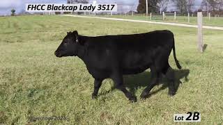 Lot 2B FHCC Blackcap Lady 3517 [upl. by Most]