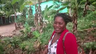 A DIASPORA FROM BASSIN BLEU INTERVIEW JACMEL HAITI [upl. by Lean]