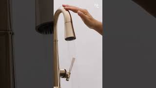 Touch2O® Technology  Delta Faucet [upl. by Leterg]