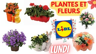 💥 ARRIVAGE LIDL💥 PLANTES ET FLEURS  11 avril 2022  18 OFFRES  FRANCE [upl. by Cohin]