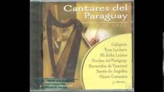 Papi Basaldúa interpreta polcas paraguayas [upl. by Laved]